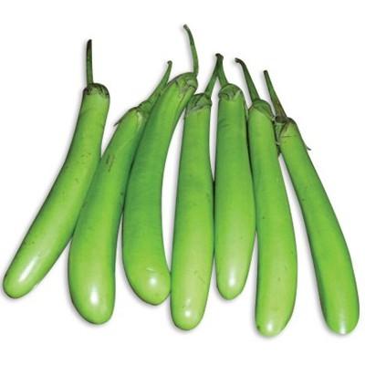 Benih Terong Hijau Panjang F1