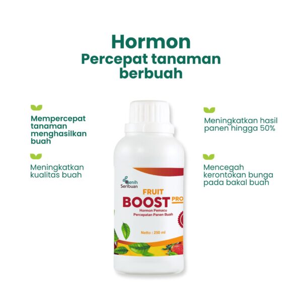 Paket Nutrisi Buah Lebat: Pupuk Organik Cair Buah 500mL + Fruit Boost Pro 250mL Formula Alami Percepatan Pelebat Tanaman Benih